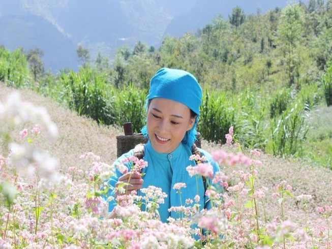 Hà Giang đẹp say lòng trong phim về tục 'cướp vợ'