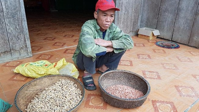 Bí thư huyện yêu cầu kiểm tra đậu giống gieo 10 chết 7