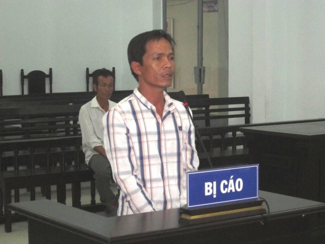 Cây ngã người… đi tù