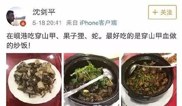 Ăn thịt cầy hương ở VN, sếp công ty Trung Quốc bị sa thải