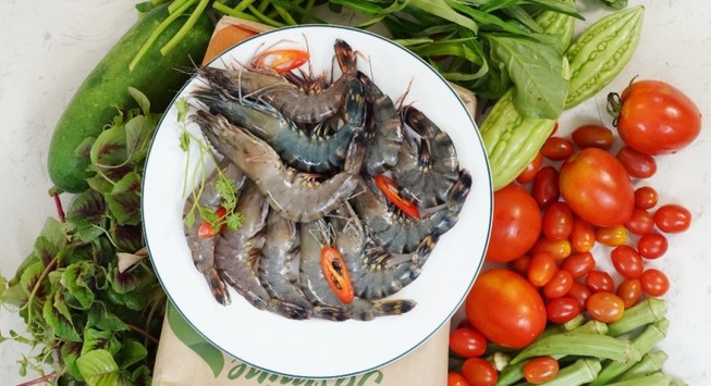 Đất phơi 3 năm mới trồng được rau Co.op Organic
