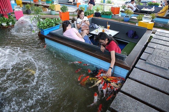 Trải nghiệm uống cà phê giữa hồ cá Koi tiền tỉ ở Sài Gòn