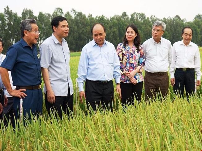 Mở rộng hạn điền: Gỡ nút thắt chuyện “nới diện tích'