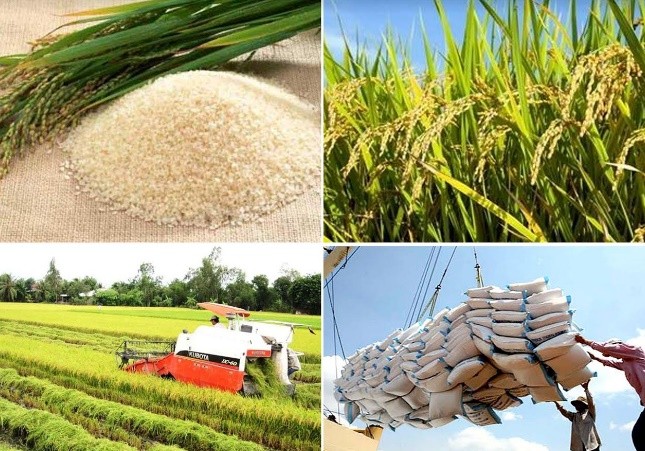 Chính phủ sẽ tạo môi trường thông thoáng cho hạt gạo