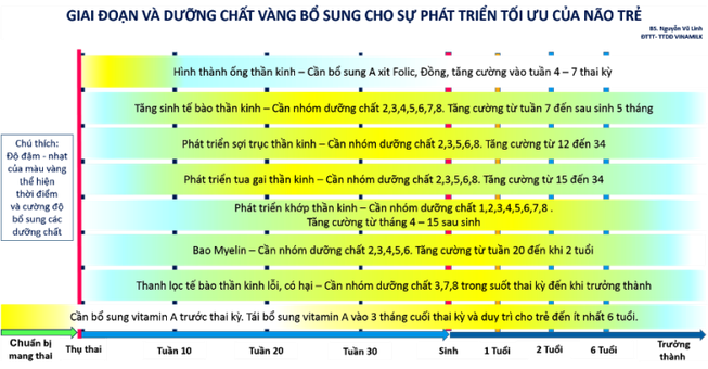 “Dinh dưỡng vàng - Thời gian vàng” cho não bộ của trẻ