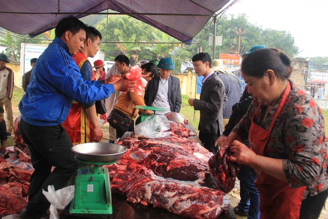 Nườm nượp người mua thịt trâu chọi gần triệu bạc một ký