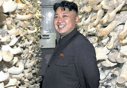 Kim Jong-un muốn Triều Tiên là cường quốc nấm