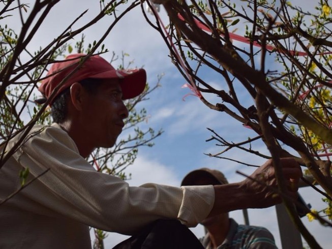 Bến Bình Đông: Hoa tươi, người héo