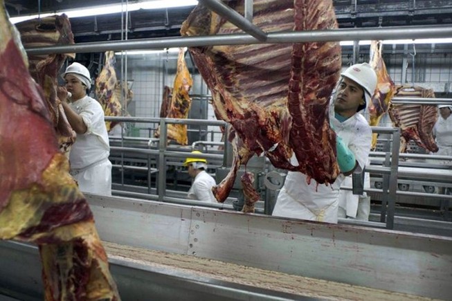 Khẩn cấp ngăn chặn thịt bẩn Brazil vào Việt Nam