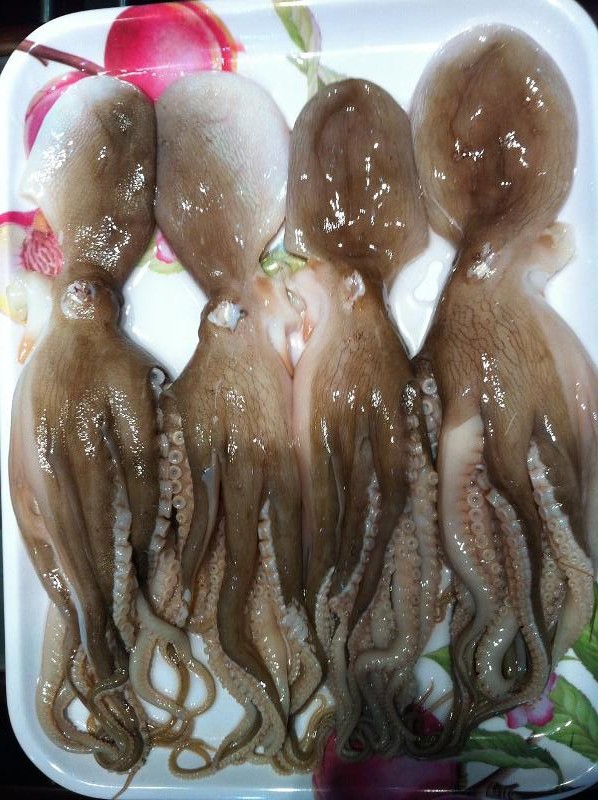 Thuế 0% nhưng mực Việt bán sang Trung Quốc khiêm tốn