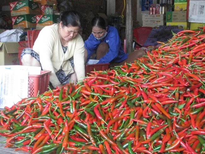 Trái ớt Việt Nam bất ngờ bị Malaysia 'chê'