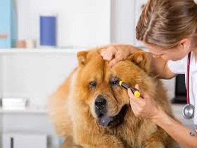 93% người Việt Nam đi du lịch không thể thiếu điện thoại