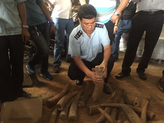 Phát hiện hơn 1.000 kg ngà voi núp trong... thùng phuy