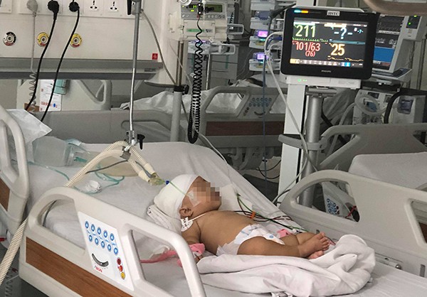 Mối nguy từ thú nuôi cưng là động vật hoang dã