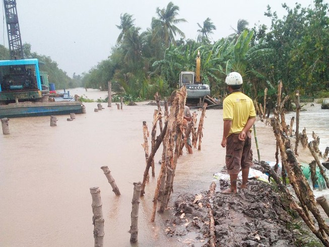 Liên tiếp vỡ đê nhấn chìm cây trái trong biển nước
