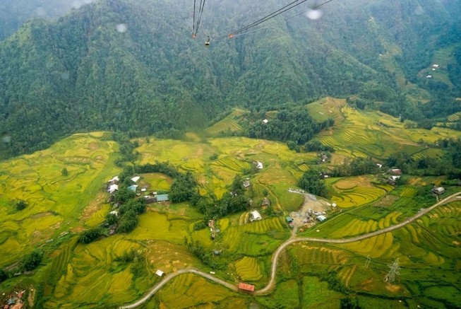 Đến Fansipan ngắm lúa xanh đẹp quên lối về