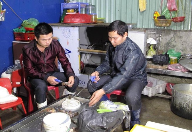 Bơm tạp chất vào tôm chết rồi bán cho nhà hàng