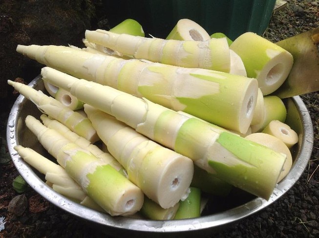 Những thực phẩm tưởng an toàn nhưng lại có thể gây hại