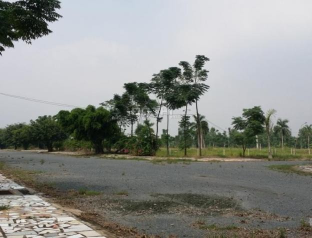 Thanh tra toàn diện Dự án khu dân cư Phi Long 5