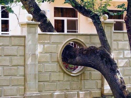 Cấm kị về cây cối trong phong thủy nhà ở