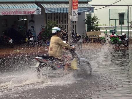 Xuất hiện 'cơn mưa vàng' ở Cần Thơ