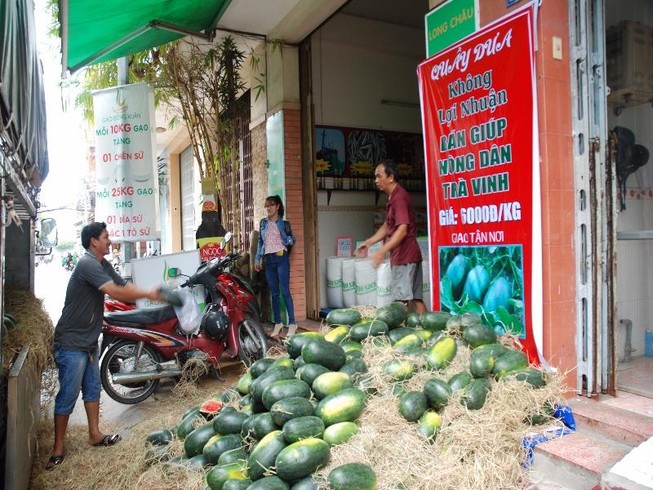 Chàng rể Cần Thơ “giải cứu” 20 tấn dưa hấu quê vợ