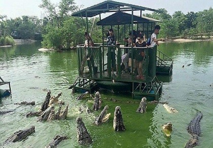Du khách Trung Quốc điên đảo với dịch vụ câu cá giữa 4.000 con cá sấu