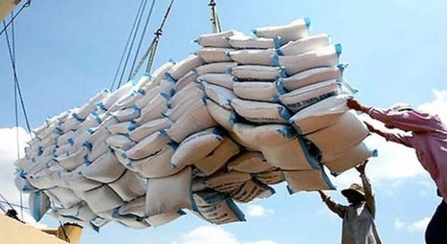 Hàng loạt sai phạm nghiêm trọng tại Tổng Công ty Lương thực Miền Nam