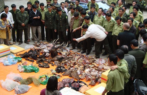 Phạt 15 tỉ đồng khi buôn bán động hoang dã vào Việt Nam