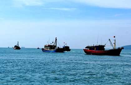 Thành lập ban chỉ đạo ổn định đời sống người dân sau sự cố cá chết