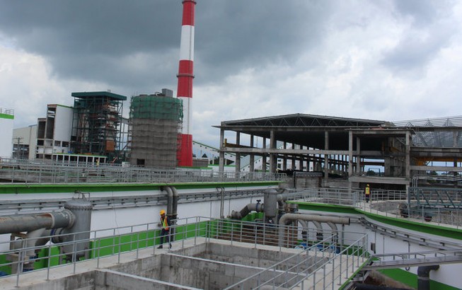 Yêu cầu Lee & Man lập lại đánh giá tác động môi trường