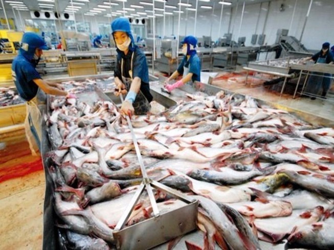 Thủy sản có kháng sinh tăng, thịt chứa chất cấm giảm