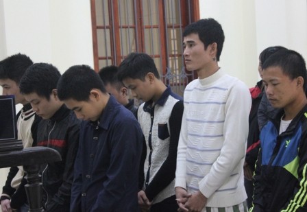Đối tượng cầm đầu băng nhóm trộm trâu bò lãnh 13 năm tù