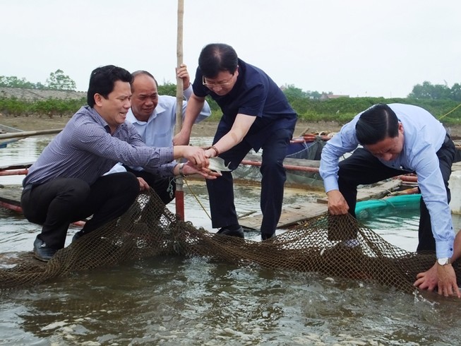 Cá chết ở miền Trung: Xử lý nghiêm nếu xả thải gây độc