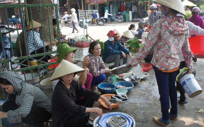 Hà Tĩnh trực 24/24 giờ cấp giấy chứng nhận hải sản an toàn cho ngư dân