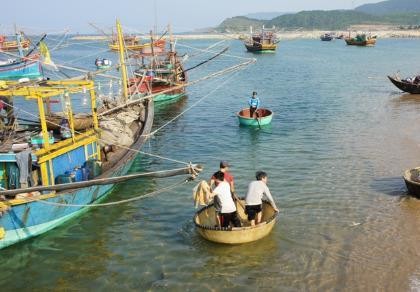Sau công bố nguyên nhân cá chết cần có các giải pháp an dân