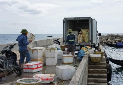 Lấy mẫu nước giếng của dân ở gần Formosa để phân tích