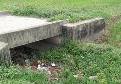 Hai kẻ trộm chó đánh trọng thương một học sinh