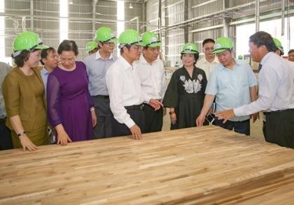 Phó Thủ tướng cắt băng khánh thành nhà máy gỗ 300 triệu USD