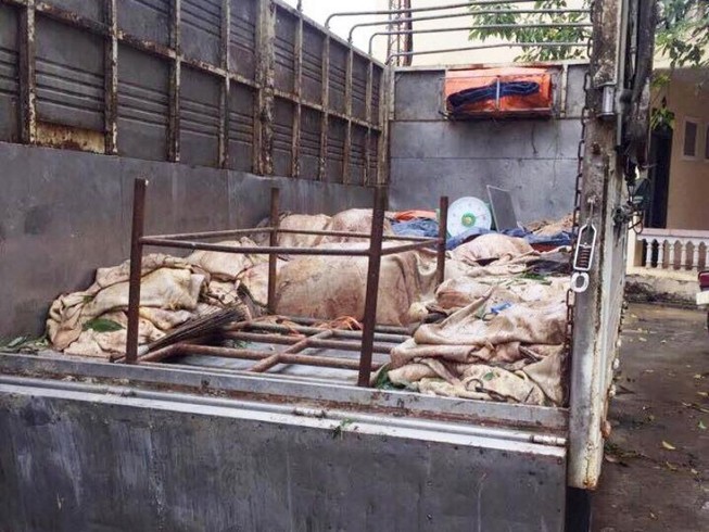 8,5 tấn thịt và mỡ động vật bẩn suýt lên bàn nhậu
