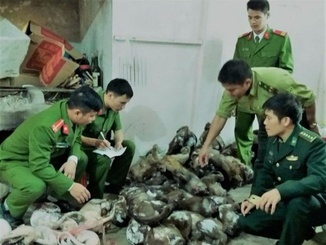 Làm thịt hơn 45 con khỉ và chồn để... bán tết