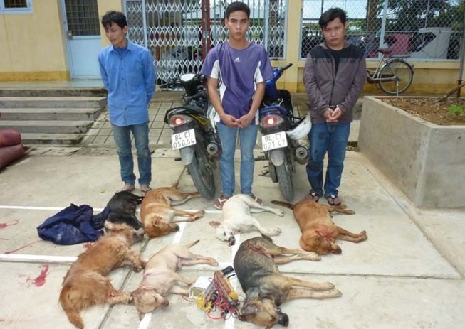 'Sục sôi' tranh luận quanh đề xuất gây khó việc xử trộm chó