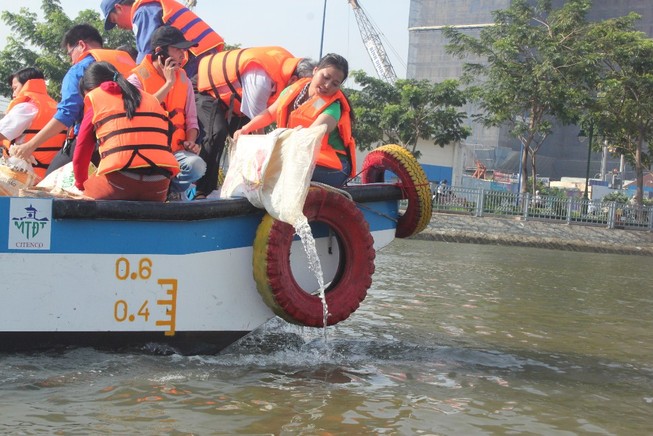 Thả nửa triệu con cá giống xuống kênh Tàu Hũ - Bến Nghé