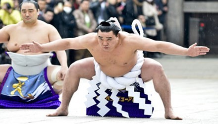 Cuộc 'hành xác' suốt đời của giới võ sĩ sumo