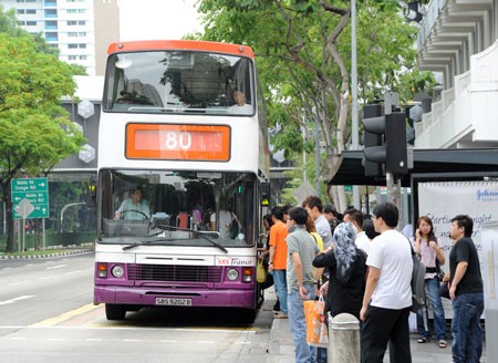 Khi Singapore xảy ra tai nạn giao thông vì xe buýt