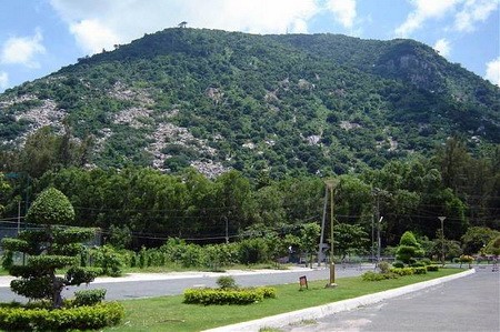 Hai ‘người dưng’ rủ nhau đi du lịch rồi… tự tử chung