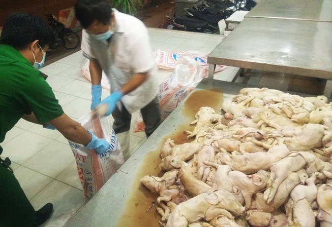 Gần 180 con heo sữa thối suýt vào nhà hàng