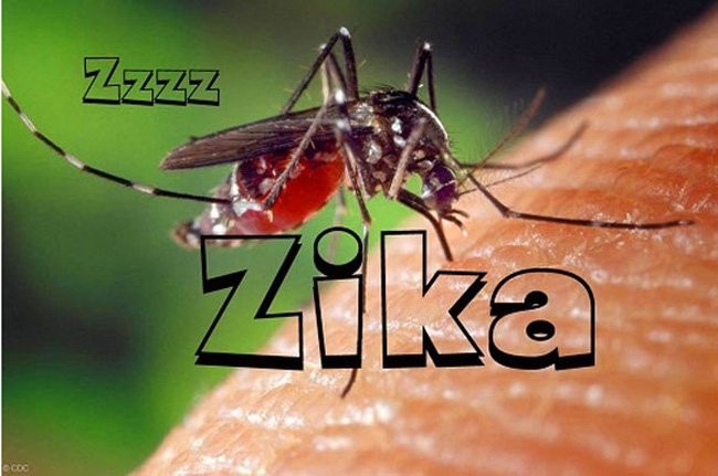 Hai người nhiễm Zika sống tại TP.HCM và Khánh Hòa