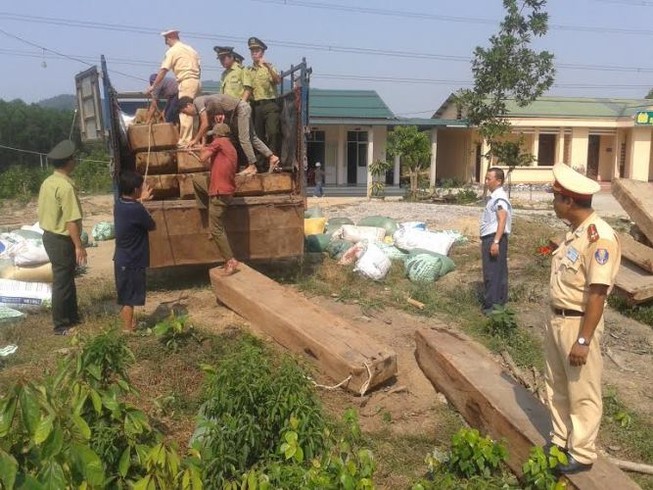 Ngụy trang dấu gỗ lậu dưới đống bao tải