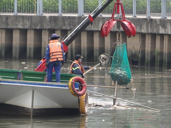 Bất ngờ với lượng cá chết hơn 70 tấn ở kênh Nhiêu Lộc - Thị Nghè